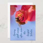 感動的春 (正面/裏面)