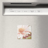 感動的美しい磁石 マグネット (インサイチュ (食洗機))