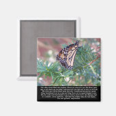 感動的贈与生活の変化 マグネット (正面/裏面)