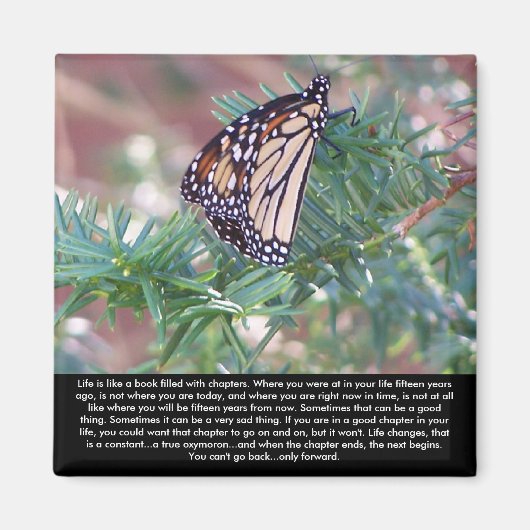 感動的贈与生活の変化 マグネット (正面)