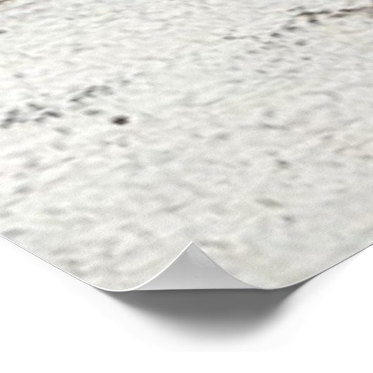 感動的馬 ポスター (角)