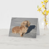 感動的 カード (黄色い花)