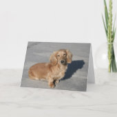 感動的 カード (正面)