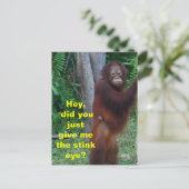 感情を表す目の動物を臭わせる ポストカード (スタンド正面)