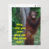 感情を表す目の動物を臭わせる ポストカード (正面/裏面)