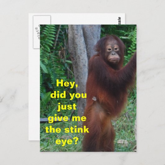 感情を表す目の動物を臭わせる ポストカード (正面/裏面)