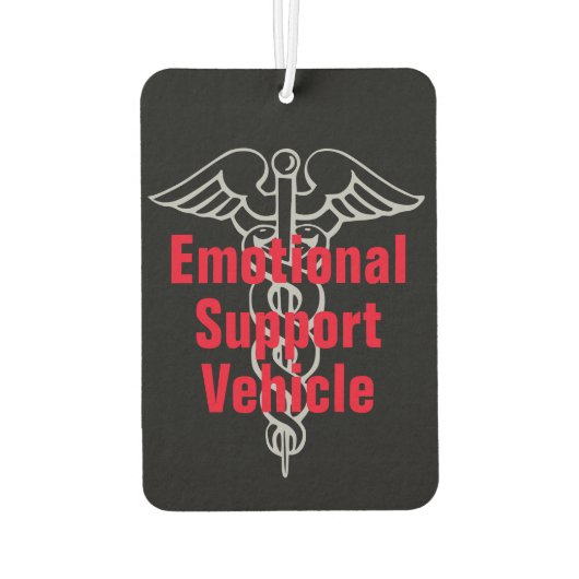 感情支おもしろい援車のジョーク カーエアーフレッシュナー (裏面)