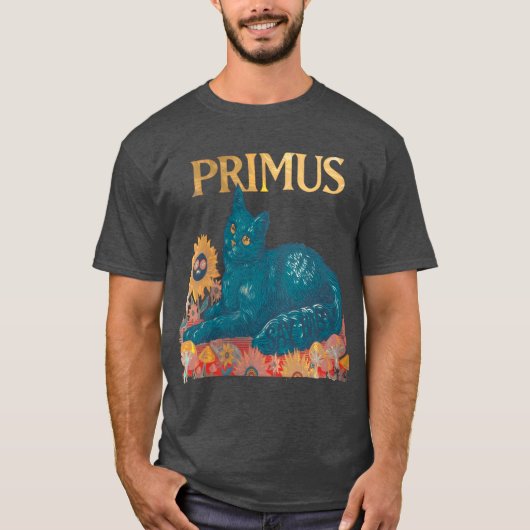 感情的なストーリーテリングを備えたPrimus Raw Epressive v Tシャツ (正面)