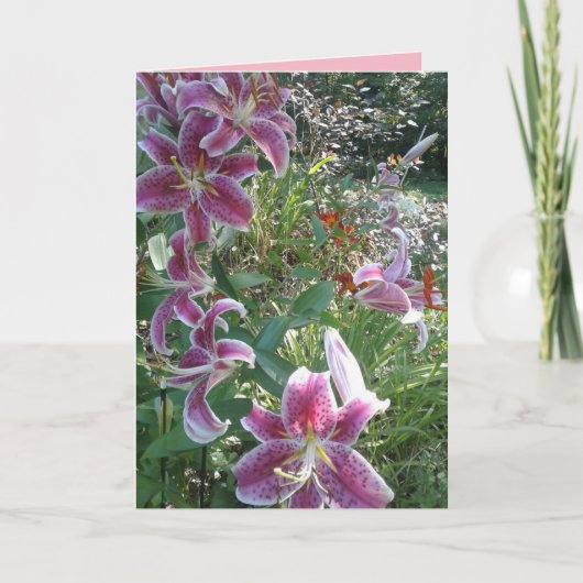 感情的な姉妹の占星家ユリ カード (正面)