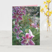 感情的な姉妹の占星家ユリ カード (黄色い花)