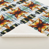 感情的な意欲を起こ対象、正当化する論理 シェルパブランケット (3/4)