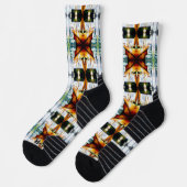 感情的な意欲を起こ対象、正当化する論理 ソックス (左)