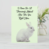 感情面での支援バニーカード シーズンカード (スタンド正面)