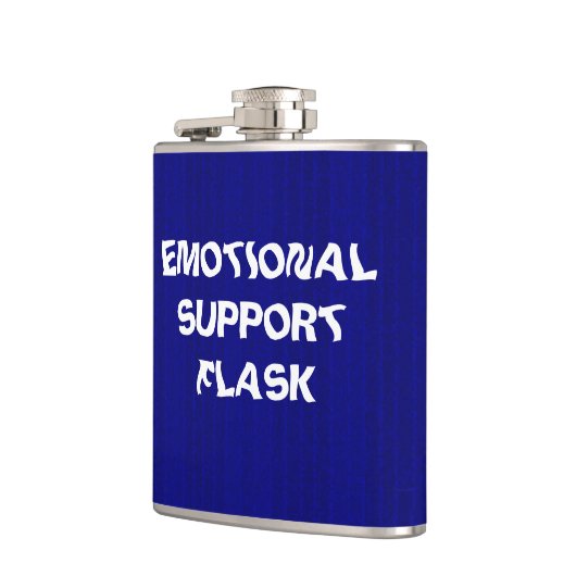 感情面の支援フラスコ フラスク (左)