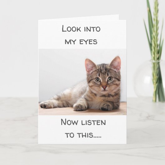 感覚を飼っている猫は「ハッピーバースデー」と言う カード (正面)