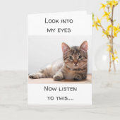 感覚を飼っている猫は「ハッピーバースデー」と言う カード (黄色い花)