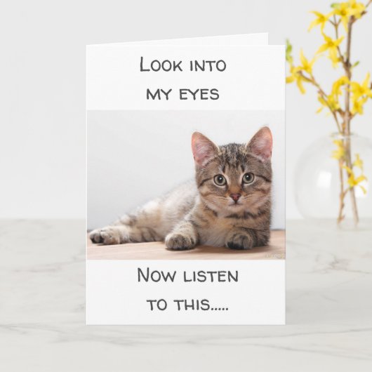 感覚を飼っている猫は「ハッピーバースデー」と言う カード (黄色い花)