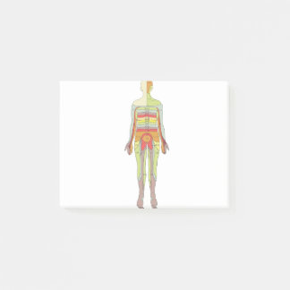 感覚性皮膚神経学 ポストイット