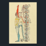 感覚神経神経神経医療解剖図 ポスター<br><div class="desc">ヴィンテージ解剖学的イラストレーション第1の感覚ニューロンと二次感覚経路の脊髄部分の起源。</div>