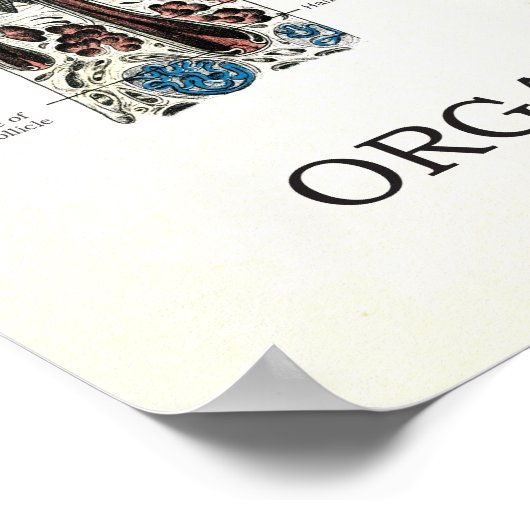 感覚音声解剖学的鼻咽頭器官 ポスター (角)