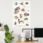 感覚音声解剖学的鼻咽頭器官 ポスター (ホームオフィス)