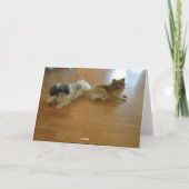 感謝していいつも背中を！ サンキューカード (裏面)