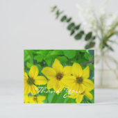 感謝していおかわいらし花 ポストカード (スタンド正面)