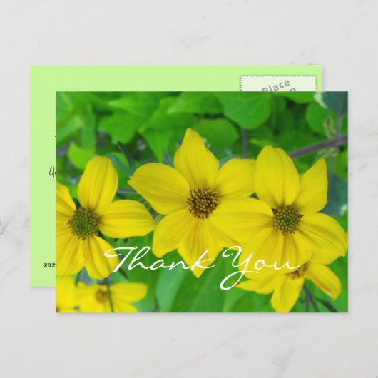 感謝していおかわいらし花 ポストカード (正面/裏面)