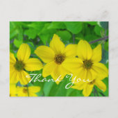 感謝していおかわいらし花 ポストカード (正面)