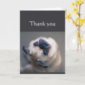 感謝していおもしろいの素晴らし犬の動物 カード (黄色い花)