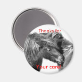 感謝していお前の気に為に！ポニーが磁石を引っ掻く マグネット (正面/裏面)