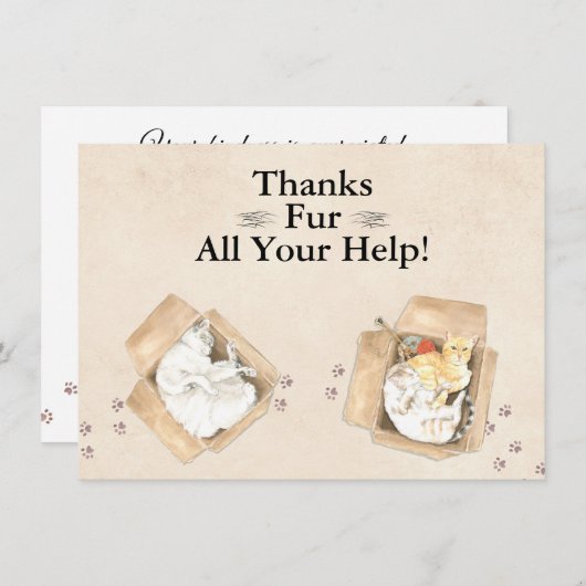 感謝していよくら救済い!猫を箱に入れて、ありがとう サンキューカード (正面/裏面)