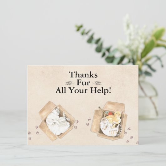 感謝していよくら救済い!猫を箱に入れて、ありがとう サンキューカード (スタンド正面)