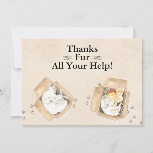 感謝していよくら救済い!猫を箱に入れて、ありがとう サンキューカード (正面)