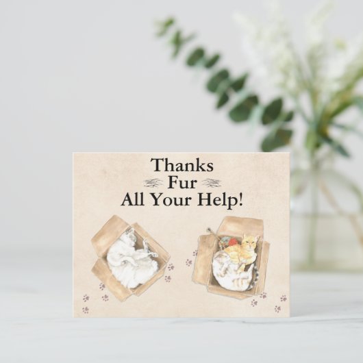 感謝していよくら救済い!猫を箱に入れて、ありがとう ポストカード (スタンド正面)