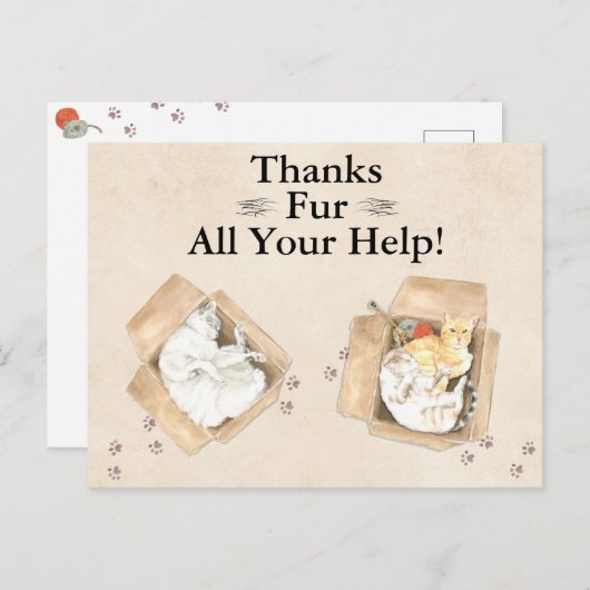 感謝していよくら救済い!猫を箱に入れて、ありがとう ポストカード (正面/裏面)