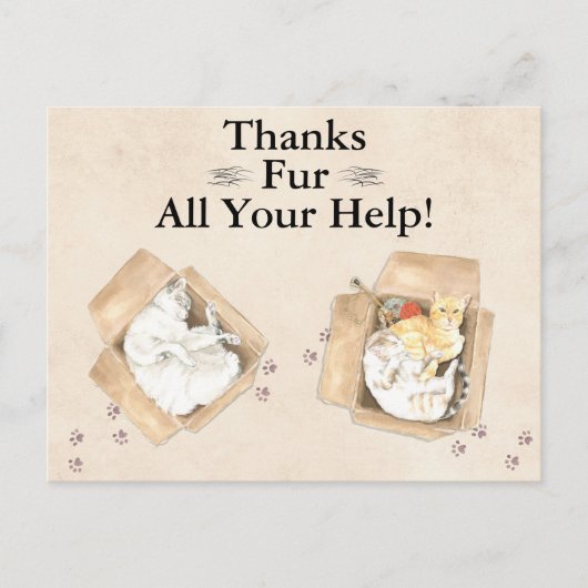 感謝していよくら救済い!猫を箱に入れて、ありがとう ポストカード (正面)