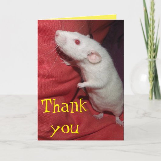 感謝していダンボラットカード サンキューカード (正面)