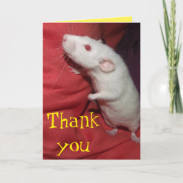 感謝していダンボラットカード サンキューカード