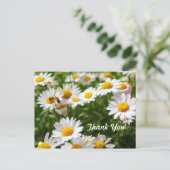 感謝してい君 ポストカード (スタンド正面)