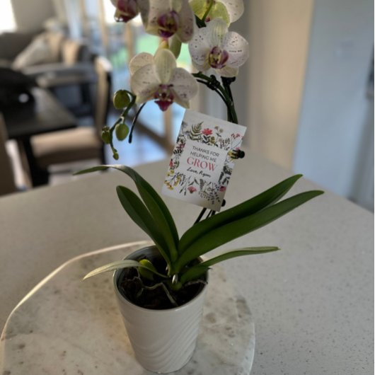 感謝してい救済は私が先生を育てる サンキューカード