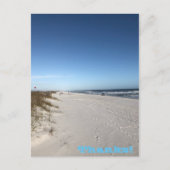 感謝してい祝日葉書 シーズンポストカード (正面)