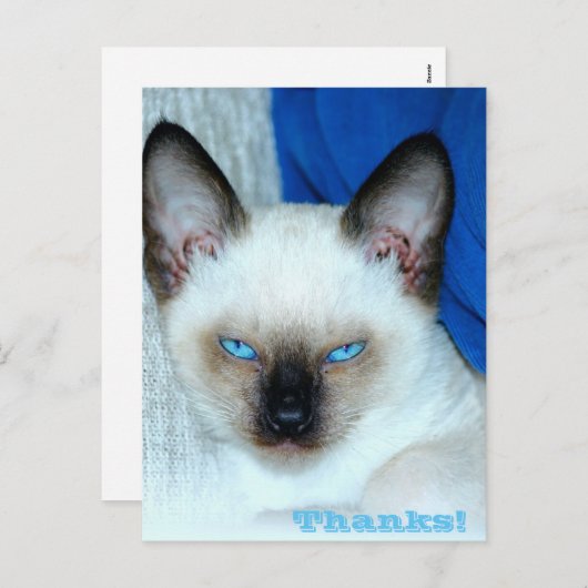 感謝してい祝日葉書 シーズンポストカード (正面/裏面)