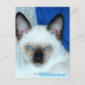 感謝してい祝日葉書 シーズンポストカード (正面)