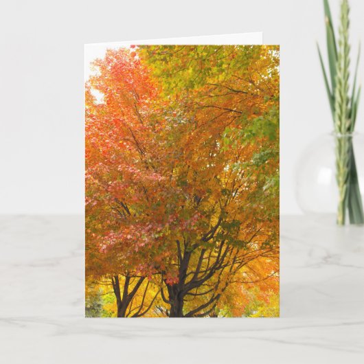 感謝してい退役軍人DSCF8707 サンキューカード (正面)