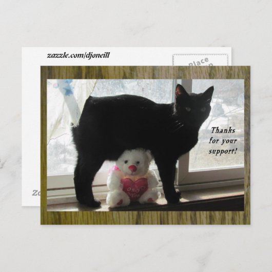 感謝してい黒猫とテディベア ポストカード (正面/裏面)
