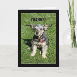 感謝してい!お前の親切吹は私よ遠くにり！ サンキューカード