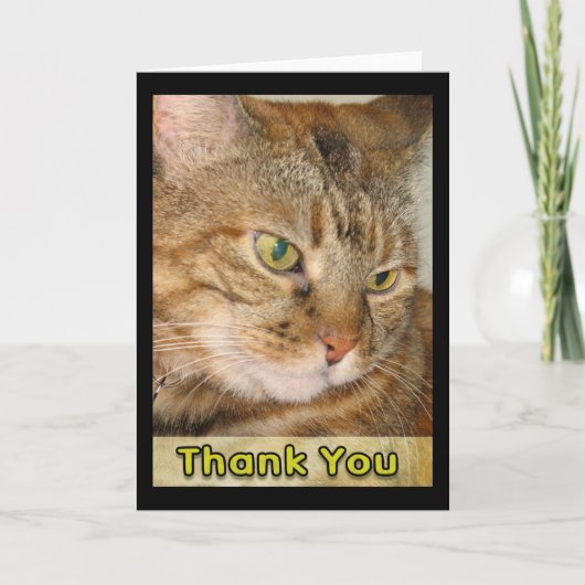 感謝してい サンキューカード (正面)