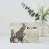 感謝してい ポストカード (スタンド正面)