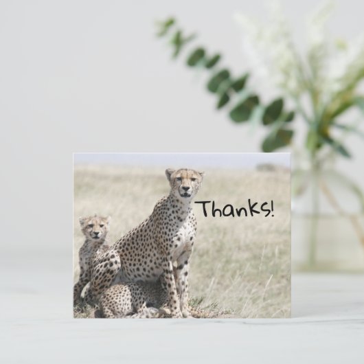 感謝してい ポストカード (スタンド正面)